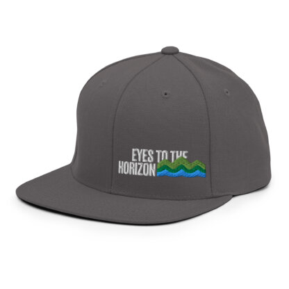 Eyes To The Horizon - Snapback Hat - Image 55