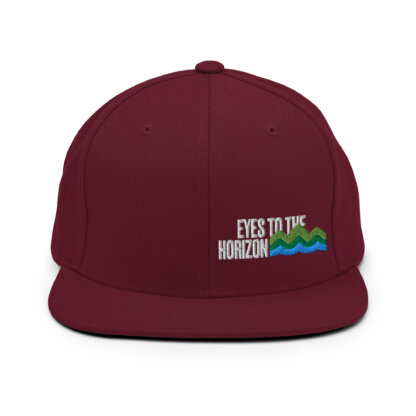 Eyes To The Horizon - Snapback Hat - Image 26