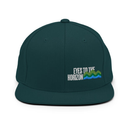 Eyes To The Horizon - Snapback Hat - Image 41