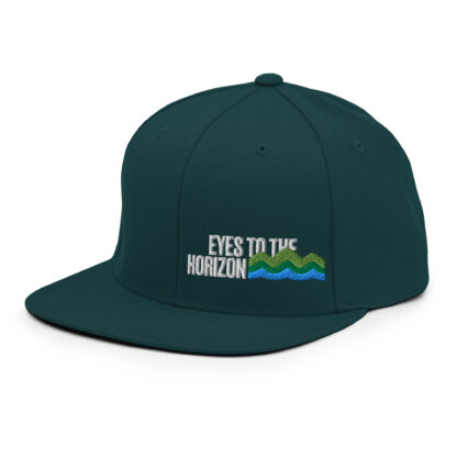 Eyes To The Horizon - Snapback Hat - Image 43